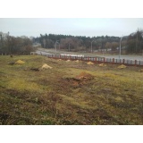 Озеленение Маслихи - 6.jpg